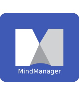 Mindjet MindManager 2019 1 Key GLOBAL